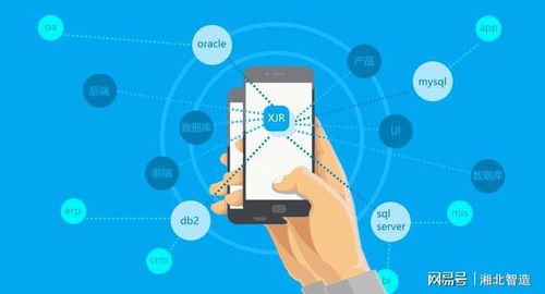 智能時代,快速開發平臺將成為主流軟件開發工具